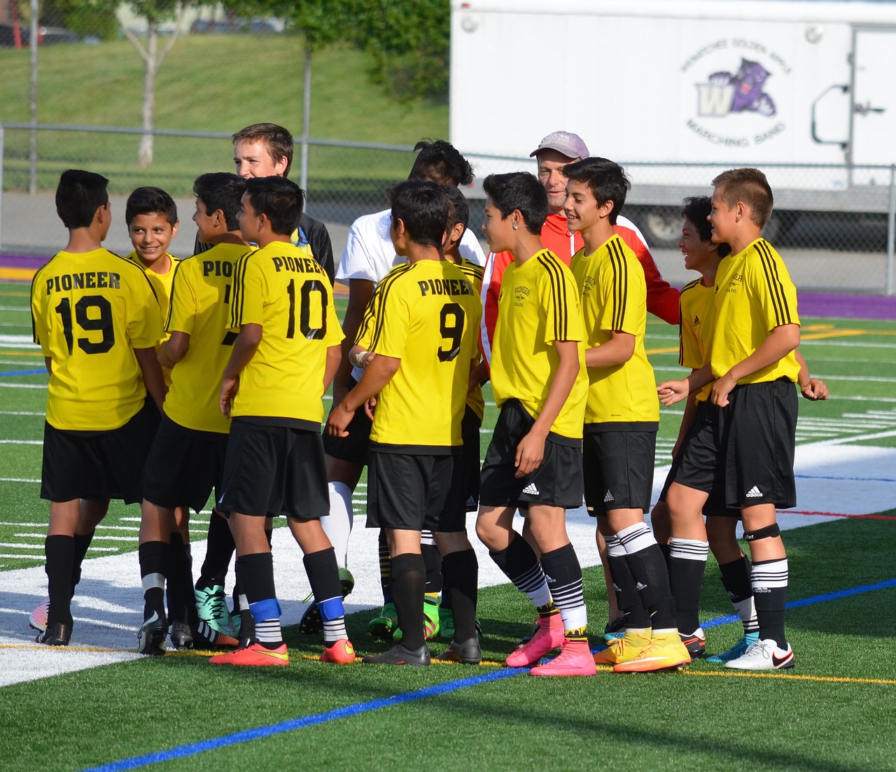 圣树唤歌辅助- 香草卡购买平台