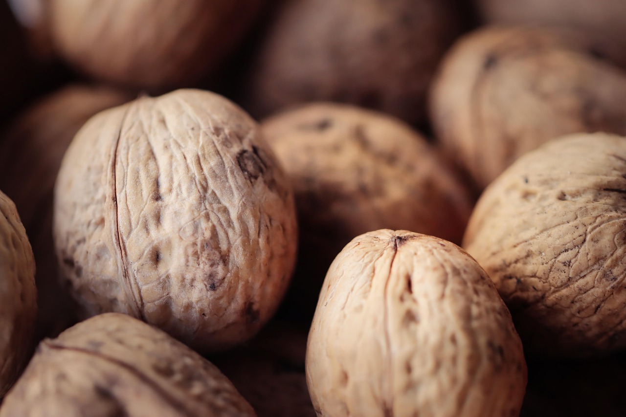 日税金鼎和平:世界杯开户平台