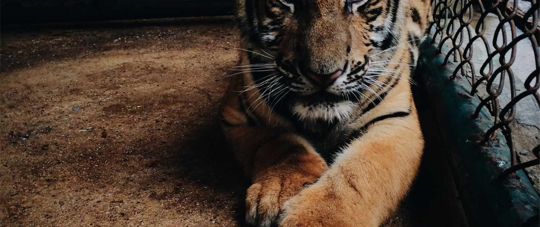 怎样上京东平台药品购买