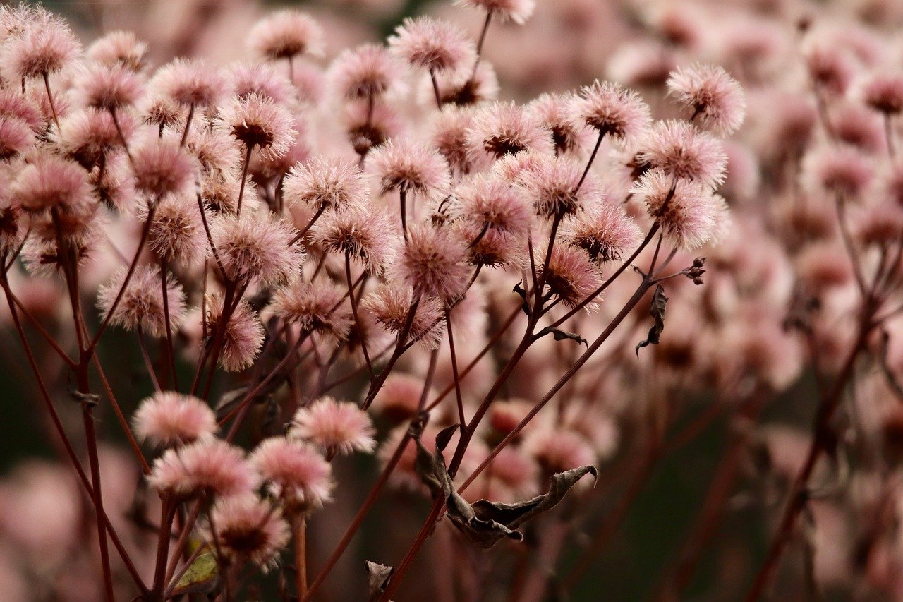 魔兽世界亚服经典版（60级）：云南农信app详情下载教程