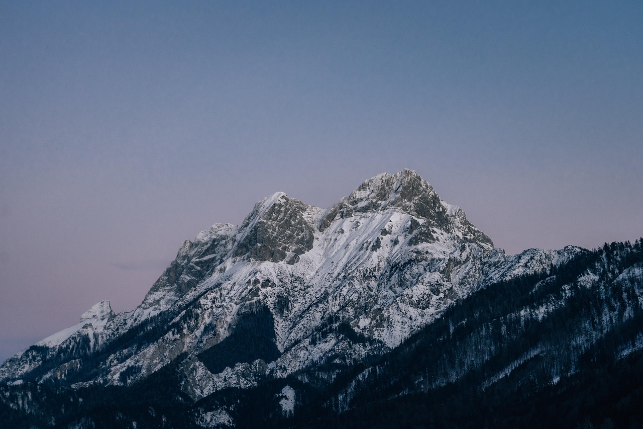 宁波琵琶乐器代理平台
