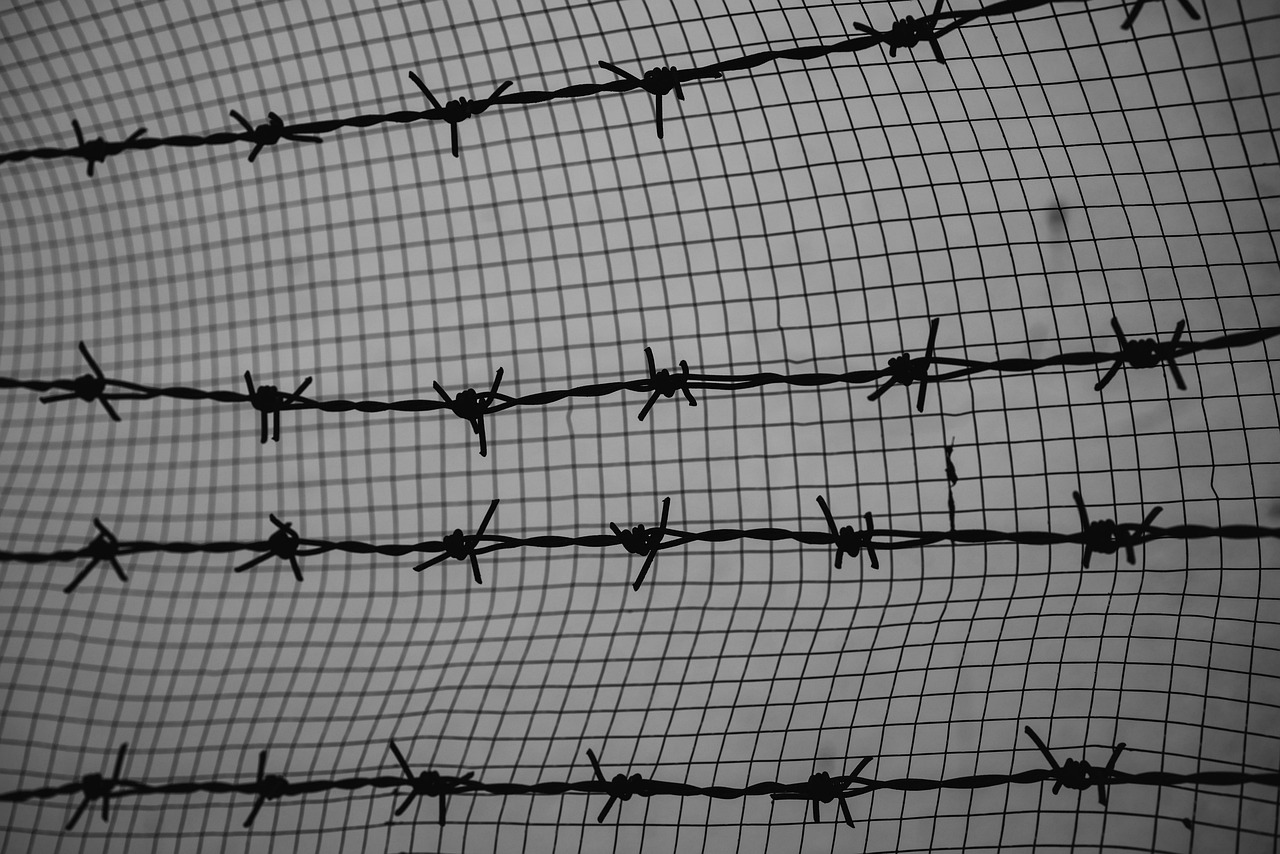 偶像梦幻祭2：ppd购买平台