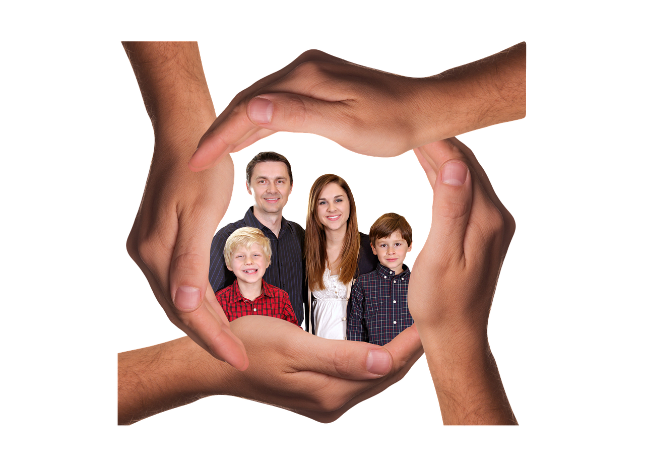 免费视频app详情下载教程网站