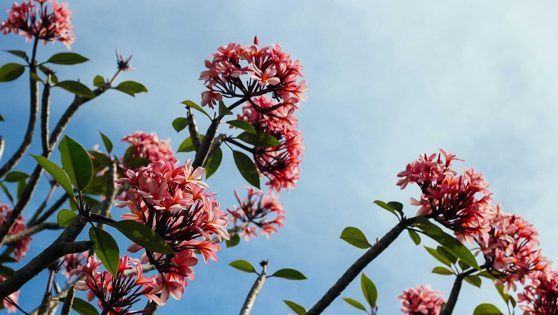 妈妈的指导意义：关于香烟的各个方面